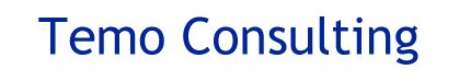 Temo Consulting